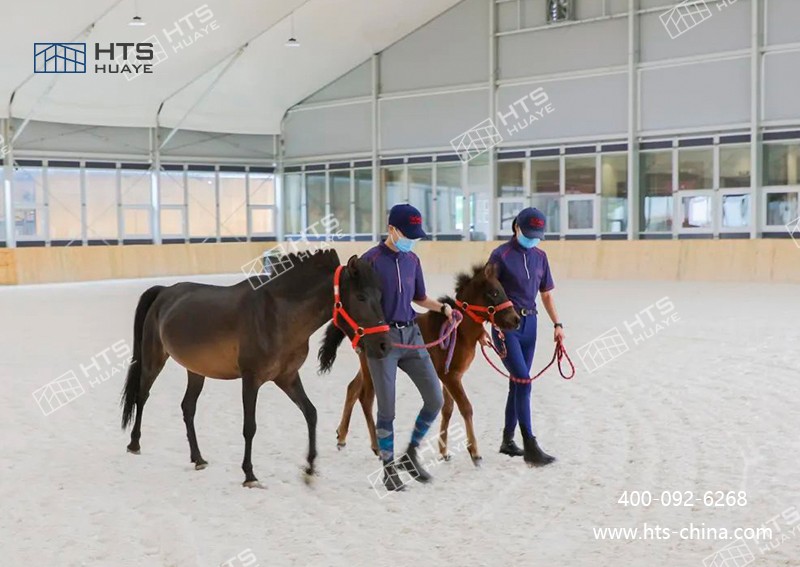 馬術館篷房高效統籌，打造校園馬術新地標
